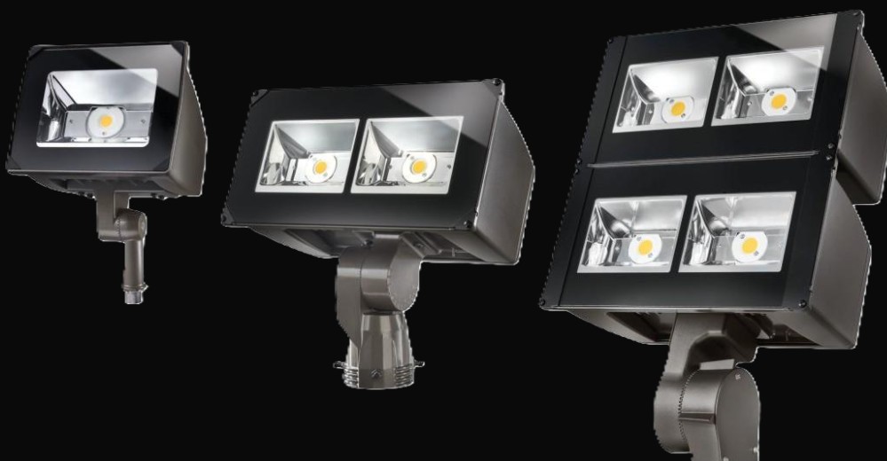 Imagen de NIGHT FALCON